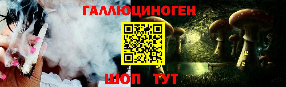 Курчатов  Галлюциногенные грибы прущие грибы  Вход с VPN  Псилоцибиновые грибы Cubensis 